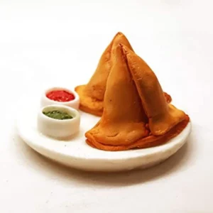 samosa fridge magnet